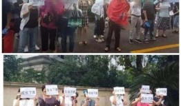 阜南一中爆料事件视频最新,真相揭开，校园风波再起