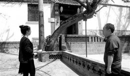 沙河村最新爆料新闻,揭秘村庄神秘事件背后的真相